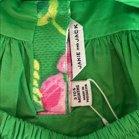 NWT Janie and Jack Baby Girl Rose Pleated Pink & Green Dress Size 3-6 Months - Picture 5 of 9